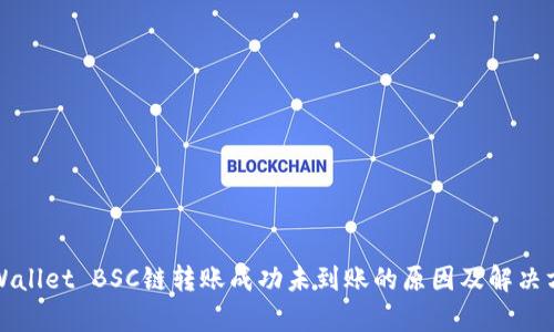 tpWallet BSC链转账成功未到账的原因及解决方法