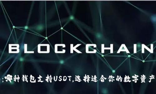 最全指南:哪种钱包支持USDT,选择适合你的数字资产存储方案
