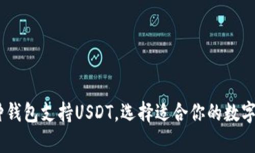 最全指南:哪种钱包支持USDT,选择适合你的数字资产存储方案