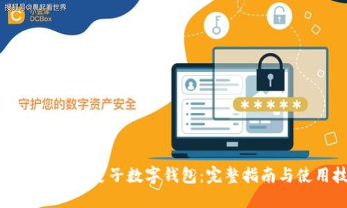 如何安全下载麦子数字钱包:完整指南与使用技巧