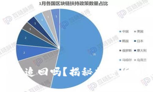 tpWallet被盗币能追回吗?揭秘加密货币安全与追回技巧