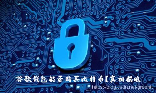 谷歌钱包能否购买比特币？真相揭晓