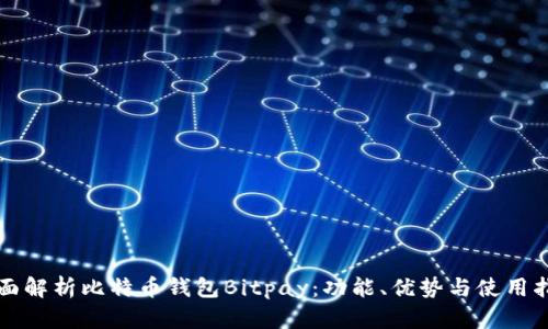 全面解析比特币钱包Bitpay:功能、优势与使用指南