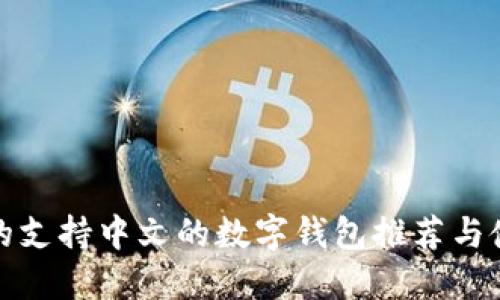 最安全的支持中文的数字钱包推荐与使用指南