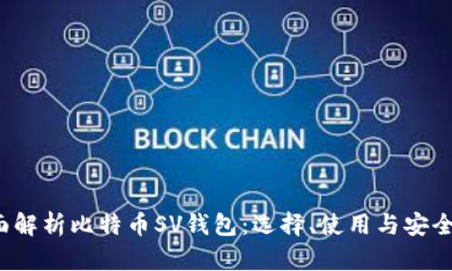 全面解析比特币SV钱包:选择、使用与安全指南
