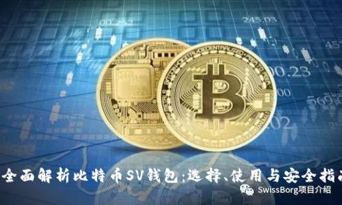 全面解析比特币SV钱包:选择、使用与安全指南