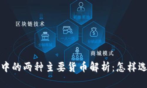: TP钱包中的两种主要货币解析:怎样选择与使用