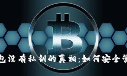 题目: 比特币钱包没有私钥的真相:如何安全管理你的数字资产