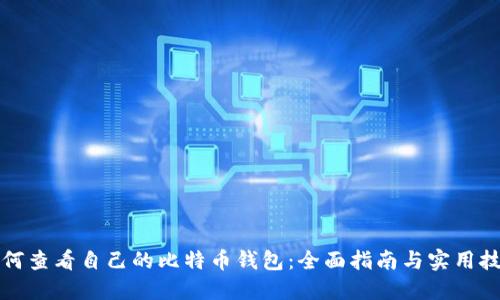 如何查看自己的比特币钱包：全面指南与实用技巧