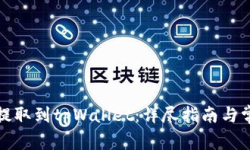 如何将屎币提取到tpWallet:详尽指南与常见问题解答