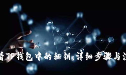 如何查看TP钱包中的私钥:详细步骤与注意事项