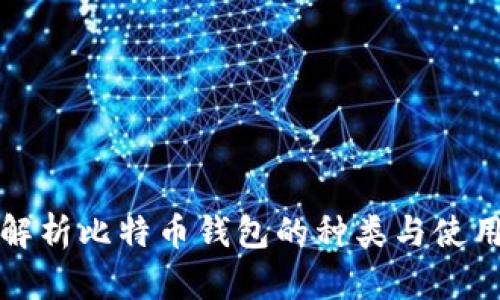 全面解析比特币钱包的种类与使用技巧