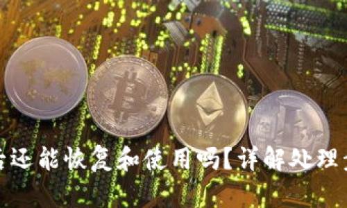 tpWallet被盗后还能恢复和使用吗？详解处理步骤与安全措施
