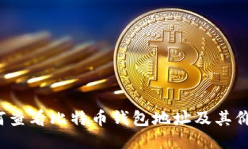 如何查看比特币钱包地址及其价值?