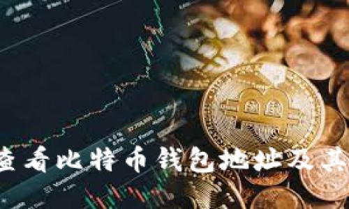 如何查看比特币钱包地址及其价值?