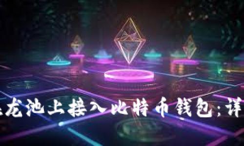 如何在龙池上接入比特币钱包:详细指南