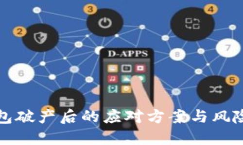 TP钱包破产后的应对方案与风险防范