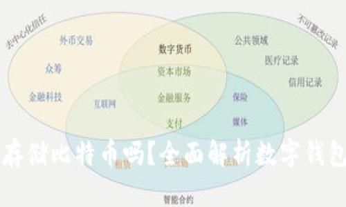 货币钱包可以存储比特币吗?全面解析数字钱包的类型与功能