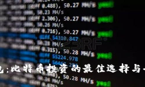 大佬钱包：比特币投资的最佳选择与全面指南