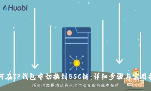 如何在TP钱包中切换到BSC链：详细步骤与实用指南