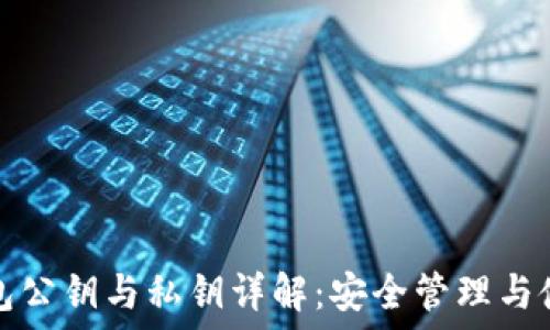 加密钱包公钥与私钥详解:安全管理与使用指南