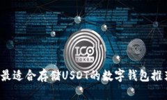  最适合存储USDT的数字钱包