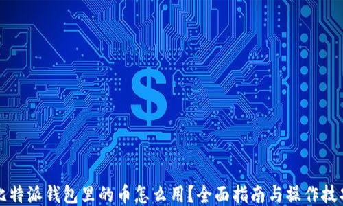 
比特派钱包里的币怎么用？全面指南与操作技巧